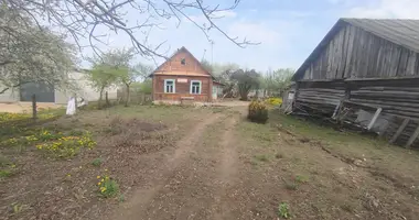 House in Dubrovienski sielski Saviet, Belarus