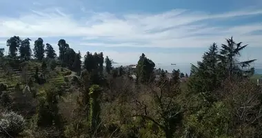 Участок земли в Батуми, Грузия