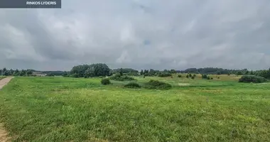 Grundstück in Alytus, Litauen