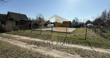 Terrain dans Muchaviecki sielski Saviet, Bélarus
