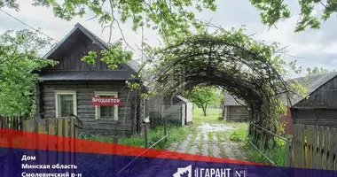 Haus in Usiazski sielski Saviet, Belarus