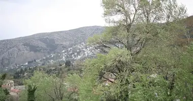 Terrain dans Portariá, Grèce