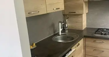 Appartement 1 chambre dans Poznan, Pologne