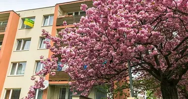 2 bedroom apartment in Capital City of Prague, Czech Republic