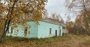 Производство 10 комнат в Болбасово, Беларусь