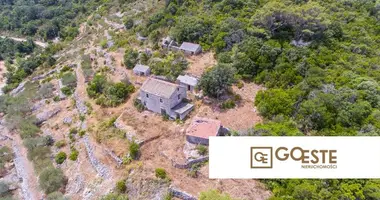 House in Opcina Dezanovac, Croatia