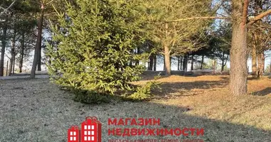 Участок земли в Квасовский сельский Совет, Беларусь