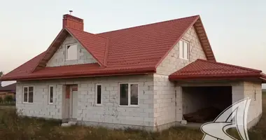 House in Rakitnica, Belarus