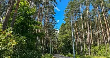 Участок земли в Ждановичи, Беларусь