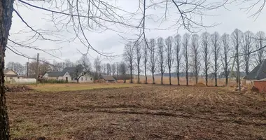 Terrain dans Vilnius, Lituanie