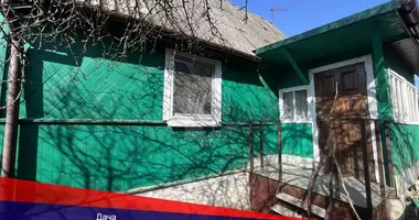 Dom w Holacki sielski Saviet, Białoruś