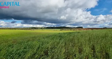 Grundstück in Masgallen, Litauen