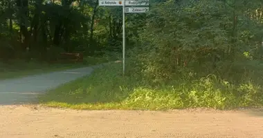 House in Radzyny, Poland