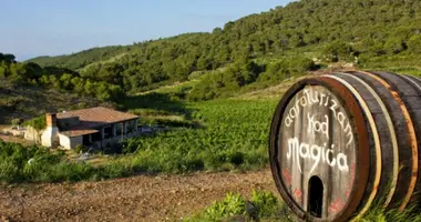 Investition in Grad Vis, Kroatien