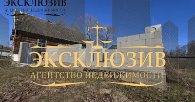 3 bedroom house in Porpliscanski sielski Saviet, Belarus