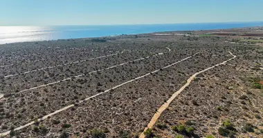 Grundstück in Liopetri, Zypern