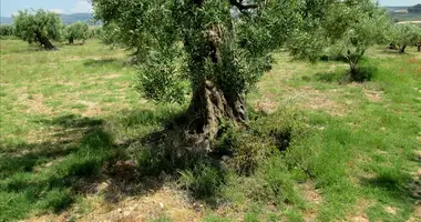 Plot of land in Polygyros Municipality, Greece