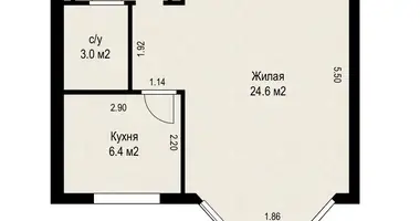 1 room apartment in Minsk, Belarus