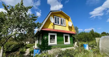 House in Chaciuchouski sielski Saviet, Belarus