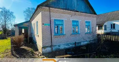 House in Znamia, Belarus