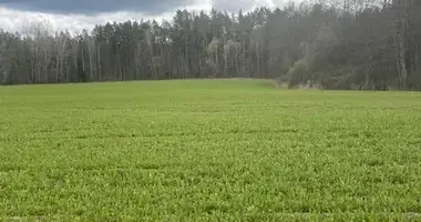 Maison dans Michaliskauski sielski Saviet, Bélarus