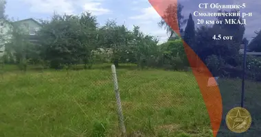 Plot of land in Drackauski sielski Saviet, Belarus