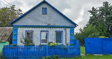 House in Vasiljeuka, Belarus