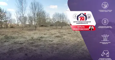 House in Haradocki sielski Saviet, Belarus