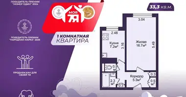 Appartement 1 chambre dans Minsk, Bélarus