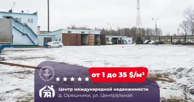 Büro 30 m² in Aresniki, Belarus