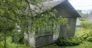 House in Krasnienski sielski Saviet, Belarus
