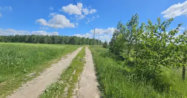 Plot of land in Papiarnianski sielski Saviet, Belarus