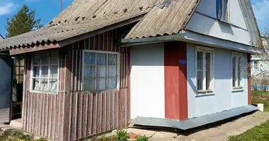 2 room house in Gatchinsky District, Russia