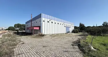 Коммерческое помещение 1 100 м² в Менёмен, Турция