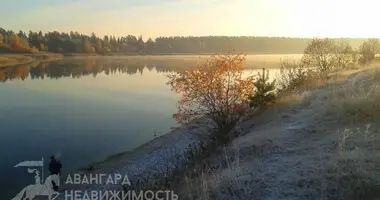 Дом в Драчково, Беларусь