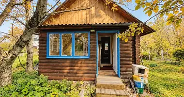 House in Piatryskauski sielski Saviet, Belarus