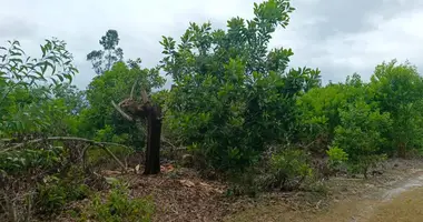 Terrain dans Foulpointe, Madagascar