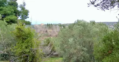 Terrain dans Nikiti, Grèce