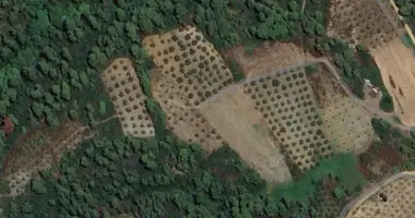 Plot of land in Nikiti, Greece