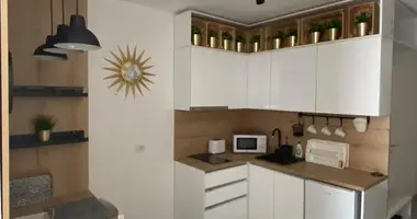 1 room apartment in Bashkia Puke, Albania