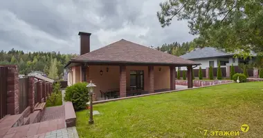 House in Astrashitskagaradokski rural council, Belarus