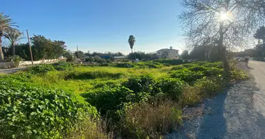 Apartment in Chloraka, Cyprus