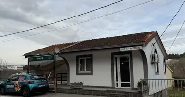 Commercial property in Podgorica, Montenegro