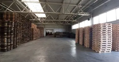 Sklep 1 567 m² w Sekowo, Polska