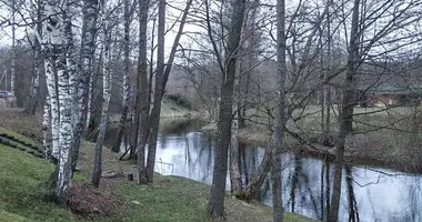 House in Naracanski sielski Saviet, Belarus
