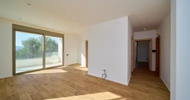 2 bedroom apartment in Mrcevac, Montenegro