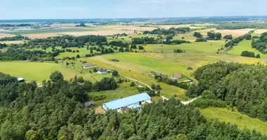 Gewerbefläche 130 m² in Rokai, Litauen