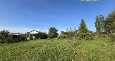 Terrain dans Drackauski sielski Saviet, Bélarus