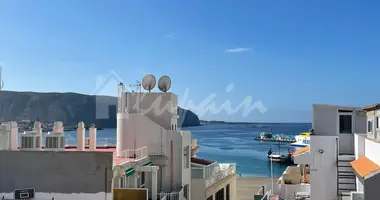 Gotowy biznes 270 m² w Arona, Hiszpania