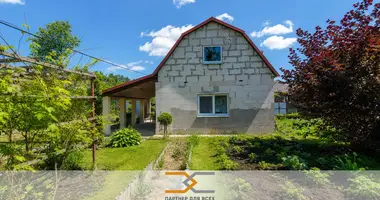 House in Rudzienski sielski Saviet, Belarus